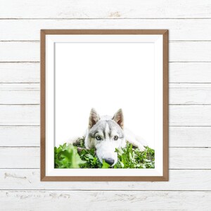 Husky print, husky wall art, funny dog print