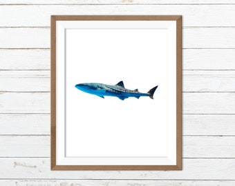 Whale shark print, whale shark art