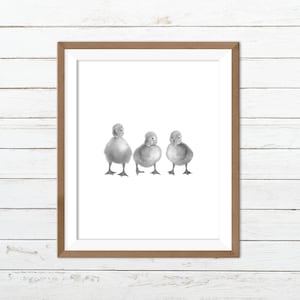 Duck wall art, duck printable, duck print, duck wall decor, animal prints, nursery animal prints, farm animal print