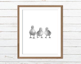 Duck wall art, duck printable, duck print, duck wall decor, animal prints, nursery animal prints, farm animal print