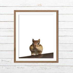 Chipmunk Druck, lustige Tier Drucke