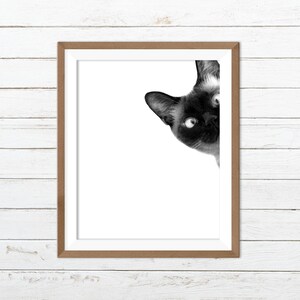 Cat printable, funny cat print, black and white cat print
