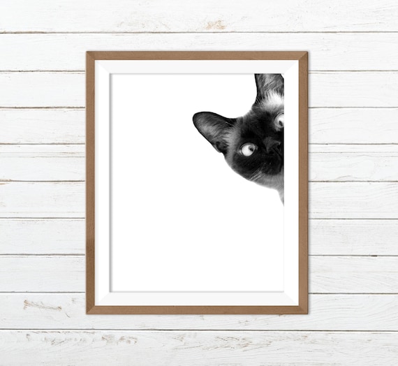Cat Printable Funny Cat Print Black and White Cat Print - Etsy