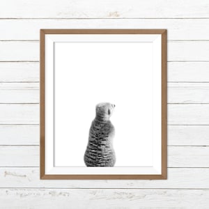 Meerkat wall art, meerkat print, black and white animal print