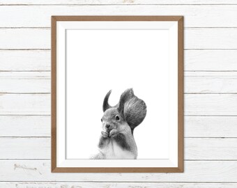 Squirrel print, squirrel printable