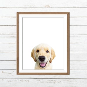 Puppy print, golden retriever print, puppy wall art