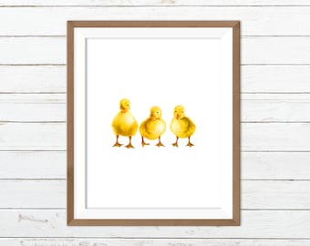 Duckling print, duck printable, duck print