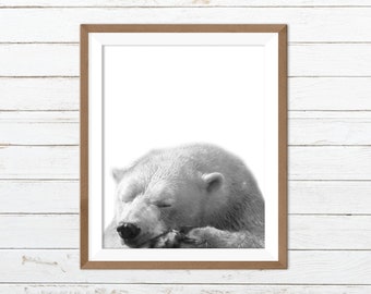 Polar bear print, polar bear printable, polar bear wall art, bear print, bear printable, nursery animal wall art