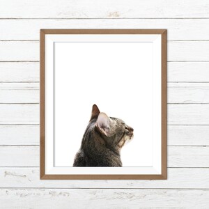 Cat print, cat printable, cat wall art