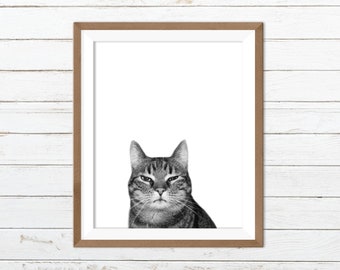 Black and white cat print, funny cat print