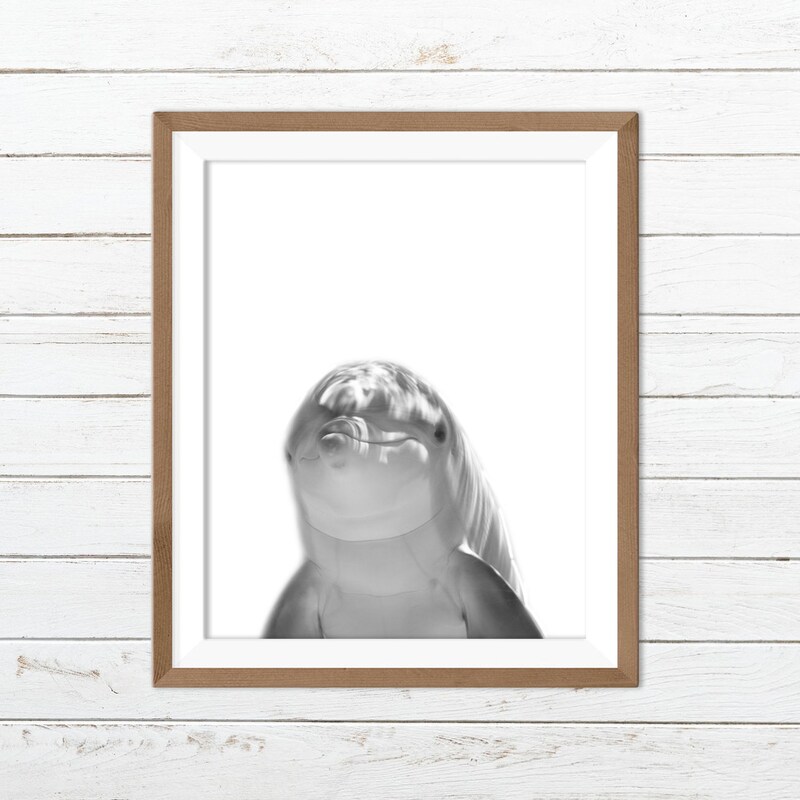 Dolphin Wall Decor main image 0