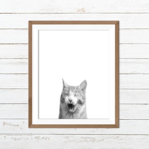 Funny cat print, black and white cat print