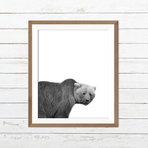 Black and white bear print, funny bear print