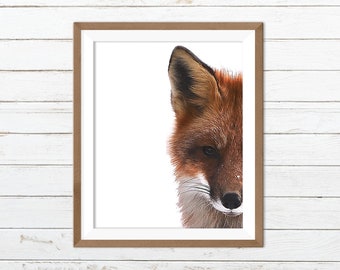 Red fox print, fox printable, forest print, woodland animal print