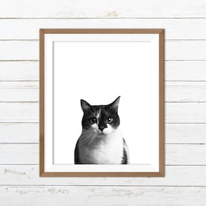 Black and white cat print, cat nursery print