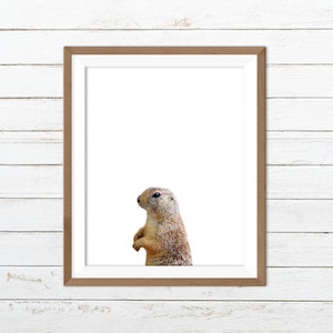 Groundhog print, forest animal print, woodland nursery
