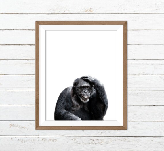 Gorilla Print Gorilla Printable Gorilla Wall Art Funny | Etsy