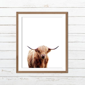 Highland cow print, highland cow printable, highland cow wall art, cow print