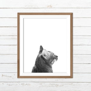 Cat printable, cat wall art, black and white cat print