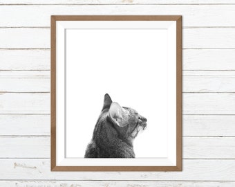 Cat printable, cat wall art, black and white cat print