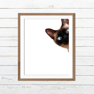 Funny cat print, peekaboo cat, cat printable