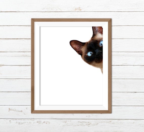 Funny cat print, peekaboo cat, cat printable