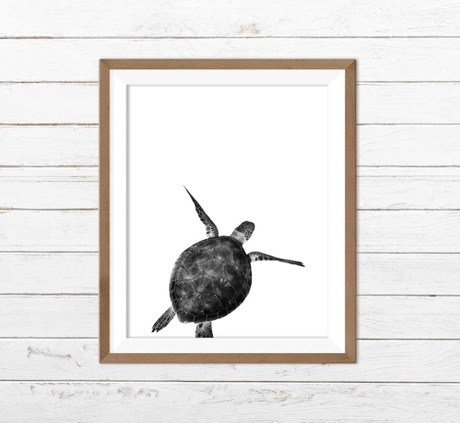Sea Turtle Print Sea Turtle Wall Art Sea Turtle Wall Decor - Etsy