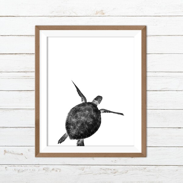 Sea Turtle Wall Art Etsy