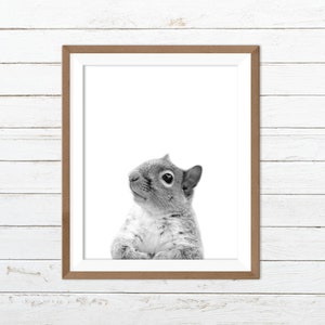 Squirrel print, black and white animal print, funny animal print