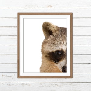 Raccoon wall art, raccoon print, raccoon printable