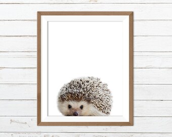 Hedgehog printable, hedgehog print, hedgehog nursery