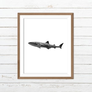 Whale shark print, black white fish art, black white animal print