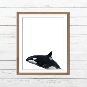 Killer whale print, killer whale art, whale printable