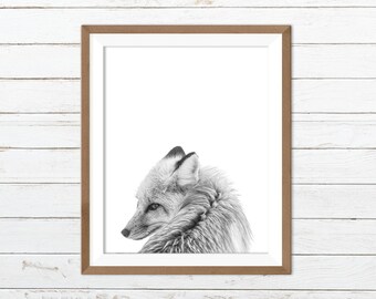 Fox printable, fox print, fox wall art, fox print art, woodland animal, black white print, animal printable
