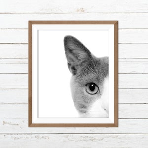 Black and white cat print