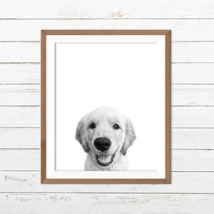 Puppy nursery print, golden retriever print, black and white dog print