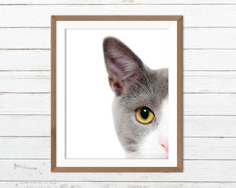 Cat printable, cat wall art, cat print