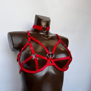 Op de afbeelding: Een rode lingerie set op een mannequin. De set bevat een bh met hartvormige accenten en een bijpassende choker. De bh heeft verstelbare bandjes en zilverkleurige metalen ringen. De choker heeft een hartvormige hanger.