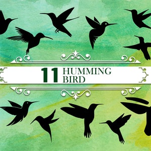 HUMMING BIRD SVG, hummingbird svg, bird, humming bird, humming, bird svg, bird silhouette, svg file, floral animal svg, humming bird png,svg