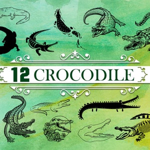 CROCODILE SVG, Alligator Svg, Krokodil Clipart, Krokodil, Krokodil Silhouette, Krokodil Vektor, Krokodil Cricut, Krokodils Svg, Krokodil dxf