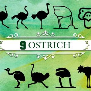 OSTRICH SVG, ostrich, ostrich clipart, animal svg, ostrich silhouette, ostrich cricut, silhouette svg, svg files, clipart svg, funny svg,svg