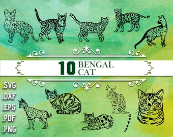 BENGAL CAT SVG, big cat shirt, exotic cat, bengal tiger, bengal cat, bengal cat svg, bengal cat digital, persian cat, cat breed, bengal cat