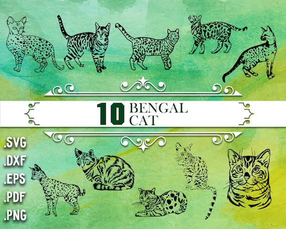 Bengal top cat shirt