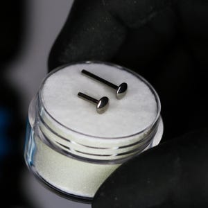 May include: Two small, silver lip piercing studs are shown in a clear, round container with a white cotton base. The studs have a flat, circular front and a straight post. The container is held by a gloved hand.