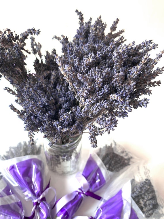 Dried Lavender bundles with ribbon