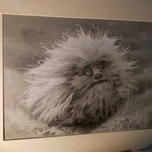 May include: A black and white drawing of a furry creature with a sad expression. The creature has a long, bushy tail and a large, round head. The drawing is done in a realistic style and is framed in a white mat.