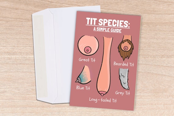 Tit Species Funny Greetings Card (A5 Size)