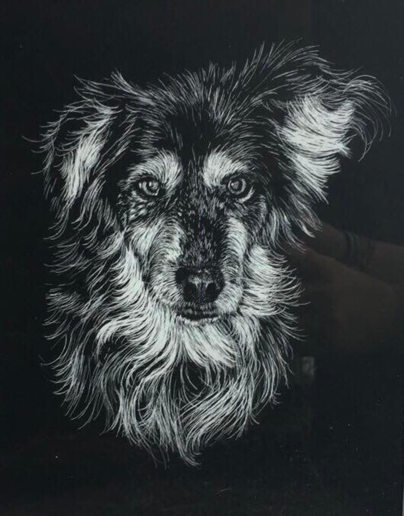 Scratchboard Pet Portraits Etsy