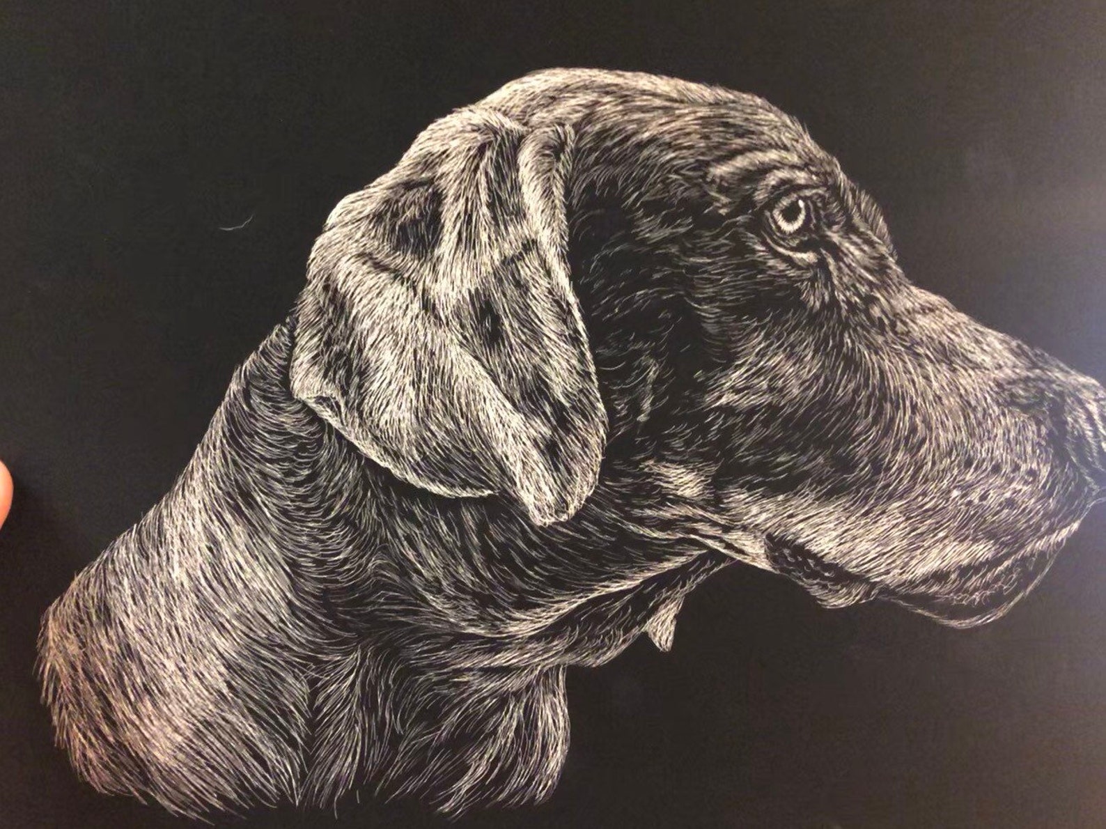 Scratchboard Pet Portraits Etsy