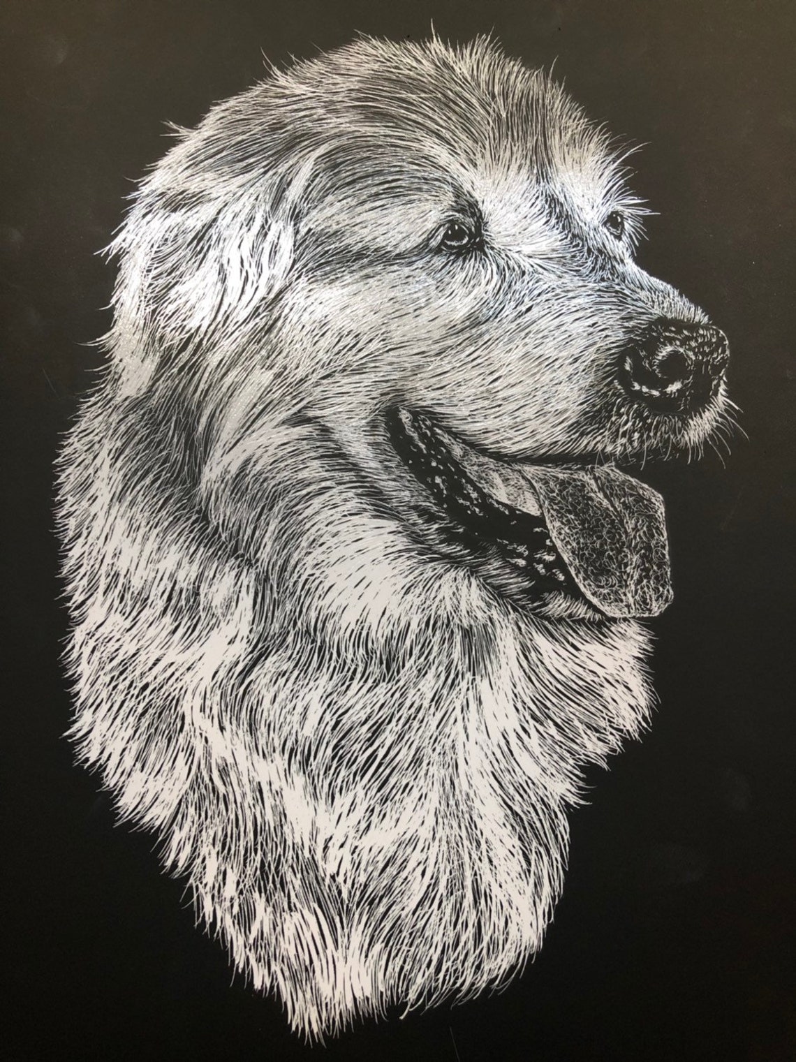 Scratchboard Pet Portraits Etsy